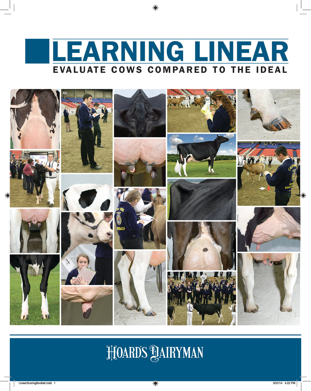 (5x) Judging Guide & (5x) Learning Linear