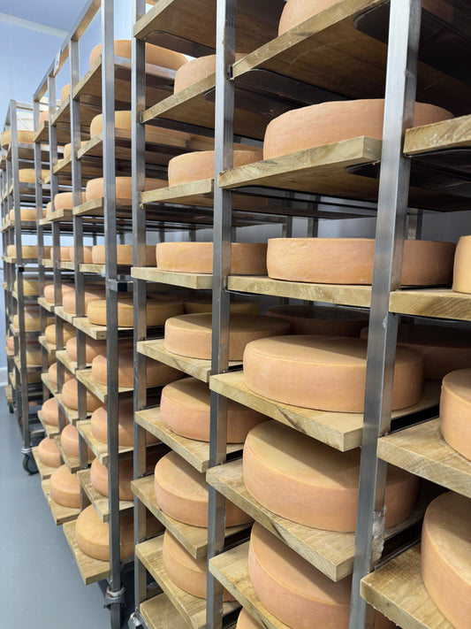Conditions are ripe: cheese cave and cellar basics
