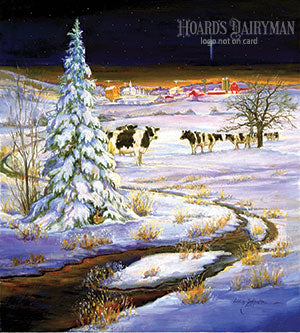 Christmas Cards - Winter Scene