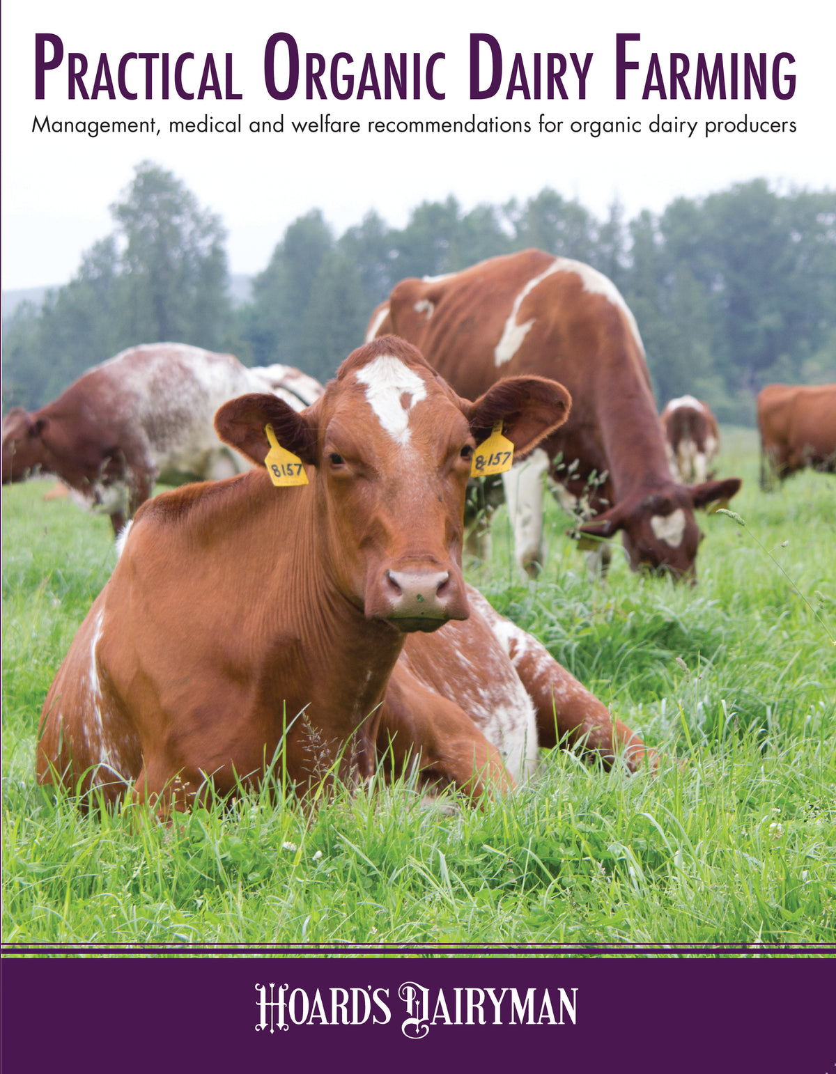 Practical Organic Dairy Farming