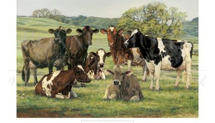 Foster Mothers of the Human Race Signed and Numbered Print